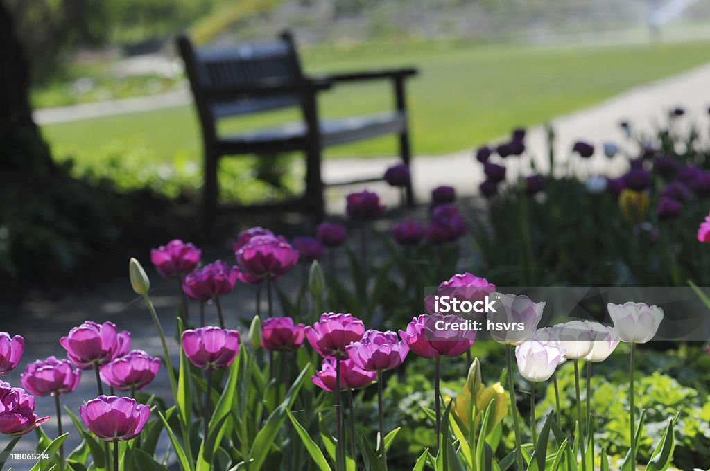 Parkbank mit Tulpen - Lizenzfrei Blumenbeet Stock-Foto