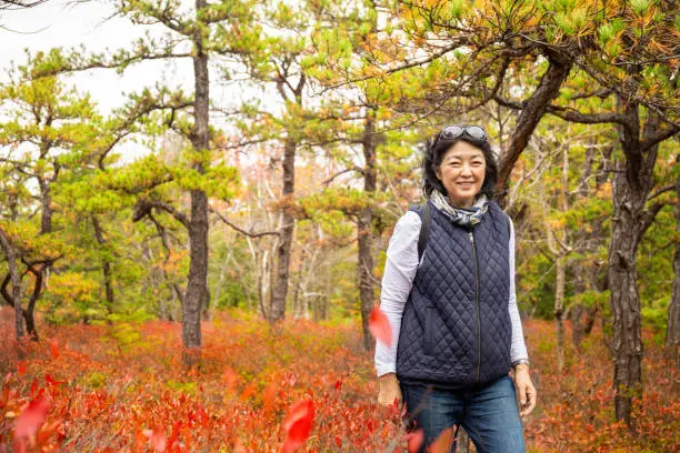 Senior asian woman walking and enjoying the fall foliage.