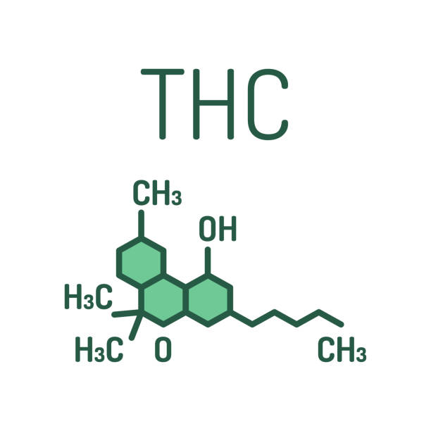 THC cannabis drug molecule color line icon. Tetrahydrocannabinol. Skeletal formula. Pictogram for web page, mobile app, promo THC cannabis drug molecule color line icon. Tetrahydrocannabinol. Skeletal formula. Pictogram for web page, mobile app, promo. UI UX GUI design element. Editable stroke. thc stock illustrations