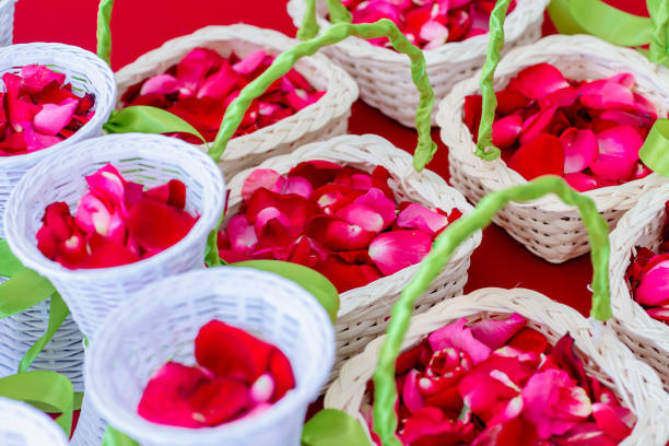 Red color rose petals in basket prepare for use in wedding ceremony, select focus. baskets of rose petals at the wedding. color rose petals in a red flower girl basket for a wedding bridal.