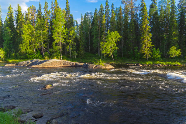 Keret River,  riffle preceding the Murash rapids.  Karelia, Russia, end of June.