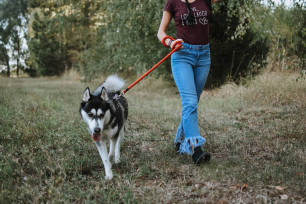 istock Woman walking with dog 1180658374