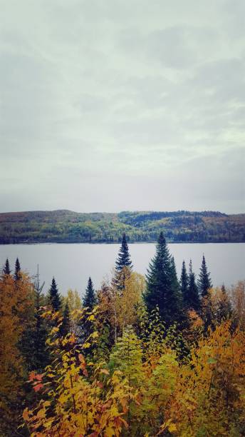 istock Saint-Maurice River in autumn (photo4) 1180658990