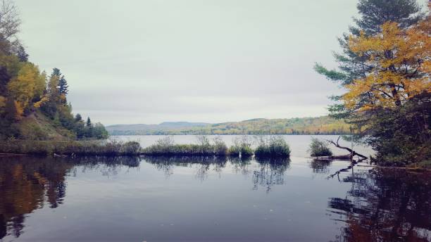 istock Saint-Maurice River in autumn (photo8) 1180659131