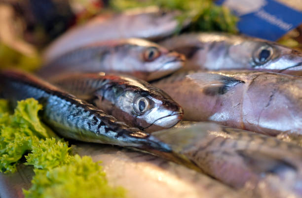 рыба и другие морепродукты на льду на рыбном рынке - fish food raw ice стоковые фото и изображения