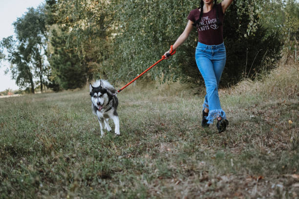 istock Woman walking with dog 1180659346