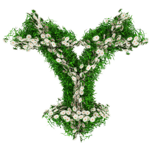 緑の草と花の文字y。デザイン用のフォント。3dイラストレーション - letter y alphabet three dimensional shape green ストックフォトと画像