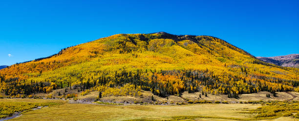 istock Aspen Mountain in Autum Color 1180663616