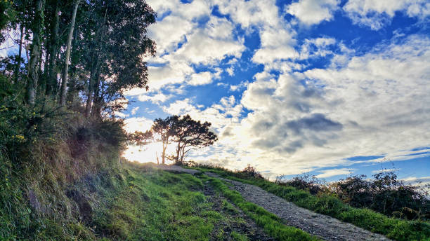 istock country road on the blue sky view 1180668254