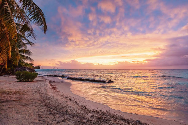 Fiji Islands Colorful Pink Sunset Korotogo Coast Viti Levu Colorful vibrant sunset over the pacific ocean at scenic natural beach Viti Levu, Fiji. Korotogo Coast, South Coast, Western Division, Fiji, Oceania suva photos stock pictures, royalty-free photos & images