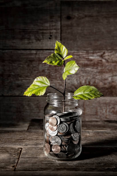 istock Young plant growing from coin jar stock photo 1180675607