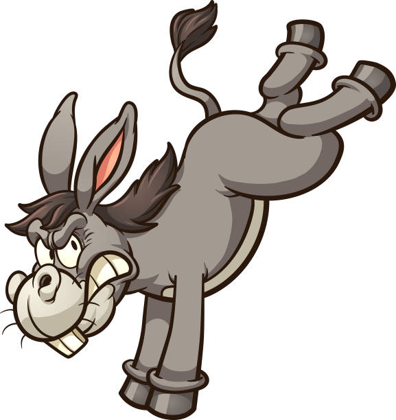 Donkey Kick Angry cartoon donkey throwing a back kick  clip art. Vector illustration with simple gradients. All in a single layer. "nAngry cartoon donkey throwing a back kick  clip art. Vector illustration with simple gradients. All in a single layer. burro stock illustrations