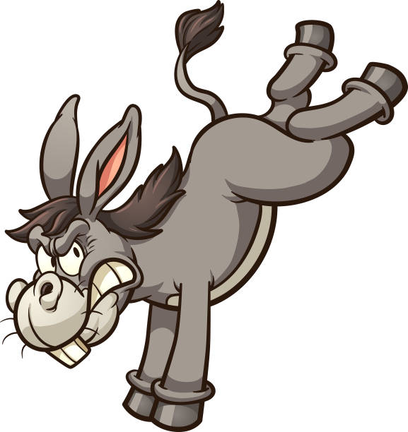 Donkey Kick Angry cartoon donkey throwing a back kick clip art. Vector illustration with simple gradients. All in a single layer. "nAngry cartoon donkey throwing a back kick clip art. Vector illustration with simple gradients. All in a single layer. mexican mule stock illustrations