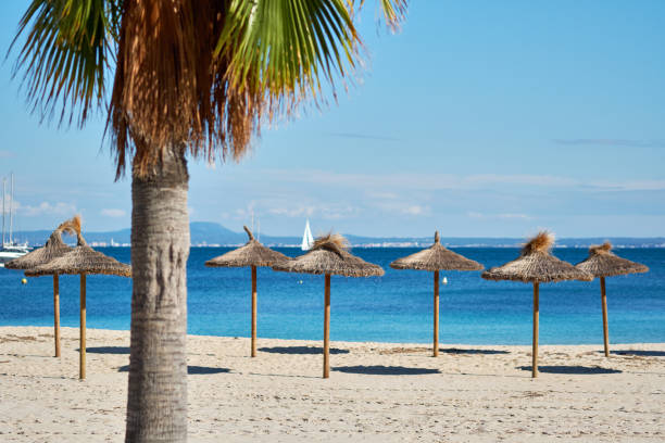 istock Idyllic scenery, concept of summer holidays, palm tree and straw 1180679049