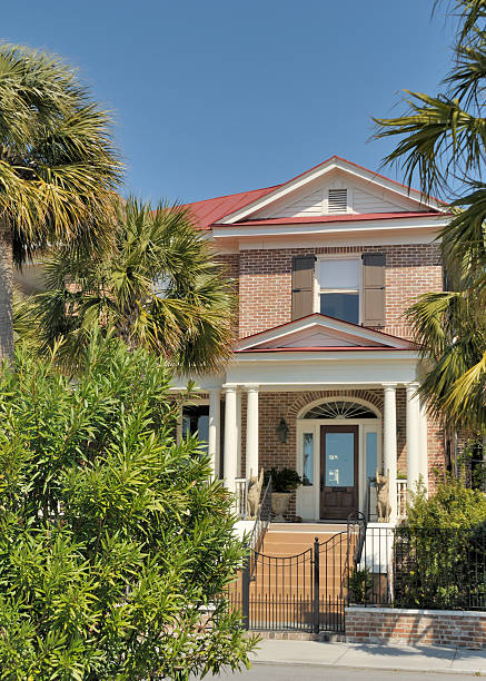 charleston, carolina del sud - day vertical palmetto south carolina foto e immagini stock