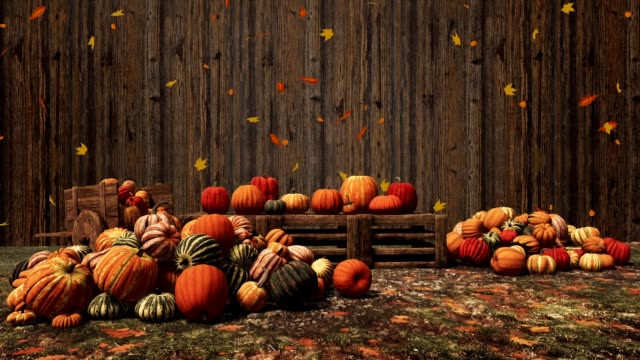 Autumn pumpkins on wooden background wirh copy space