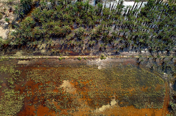 istock Aerial photo flooded area 1180680318