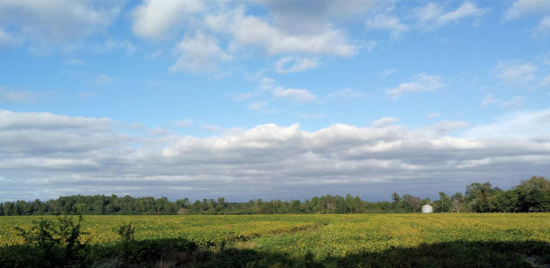 istock Image Of Clouds In The Sky 1180683456
