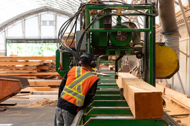 istock Industrial timber manufacturing facility 1180684342