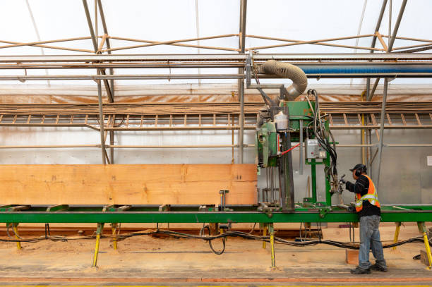istock Industrial timber manufacturing facility 1180684349