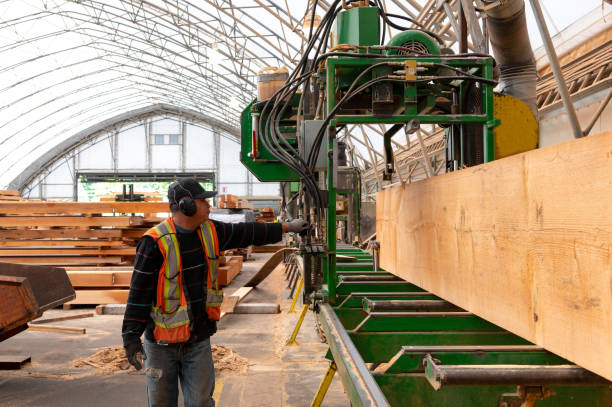istock Industrial timber manufacturing facility 1180684358