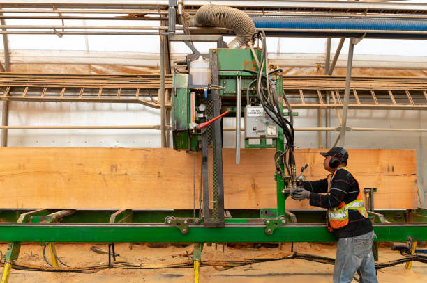 istock Industrial timber manufacturing facility 1180684366