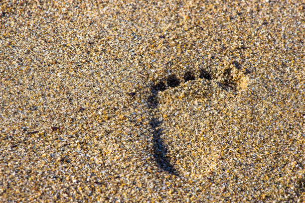 istock foot print on sand background 1180692724