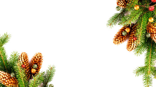 istock Christmas background with spruce branches and pine cones on white background. 1180693475