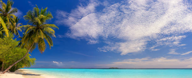 Beach panorama at Maldives with blue sky, palm trees and turquoise water stock photo