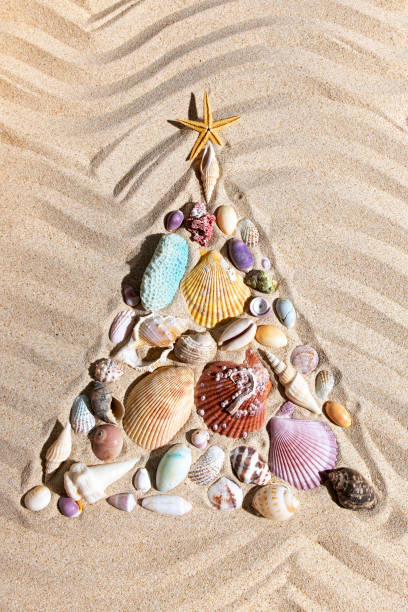 istock Christmas tree  made from shells and corals on beach sand, flat lay ,vertical composition 1180699164