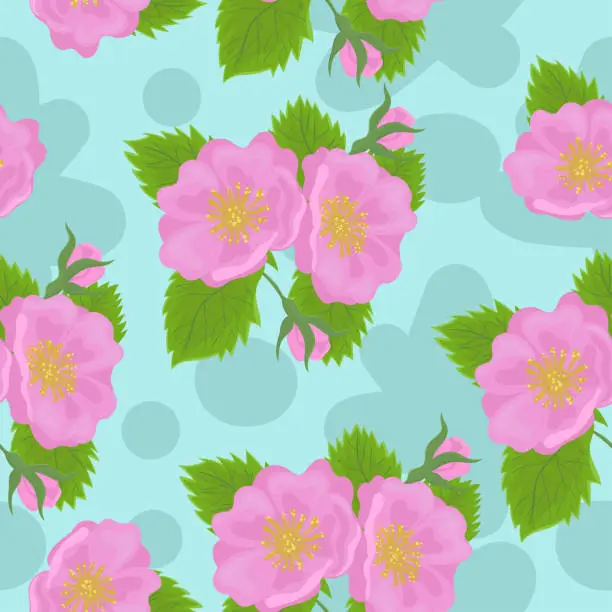 Vector illustration of Seamless pattern with wild rose flowers. Vector graphics.