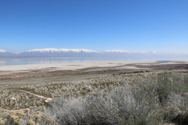 istock Wasatch Mountains across Salt Flats at Antelope Island, Utah 1180705852