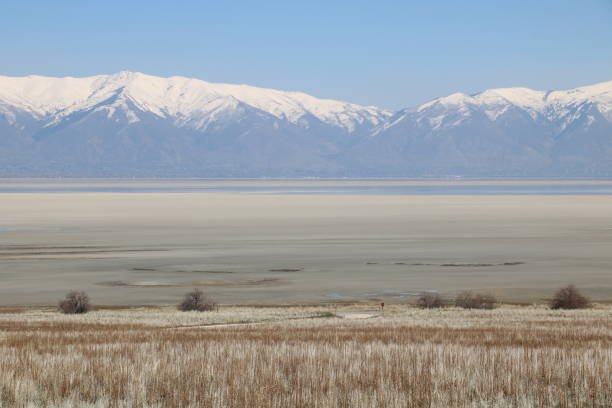 istock Wasatch Mountains across Salt Flats at Antelope Island, Utah 1180706551
