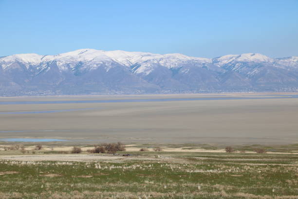 istock Wasatch Mountains and Salt Flats from Antelope Island, Utah 1180706670