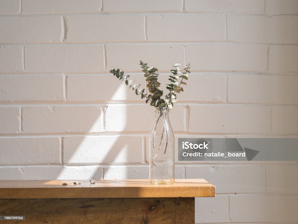 Eucalyptus leaves in glass bottle on wooden table Close up of dried eucalyptus leaves in glass bottle on wooden shelf against painted white brick wall with shadow Side Table Stock Photo