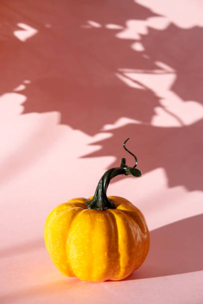 istock Pumpkin with shadow from maple leaves on a pink background. 1180710527