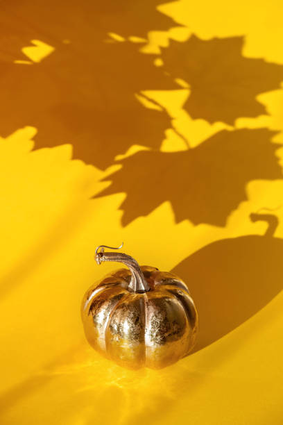 istock Golden pumpkin with a shadow from maple leaves on a yellow background. 1180710530