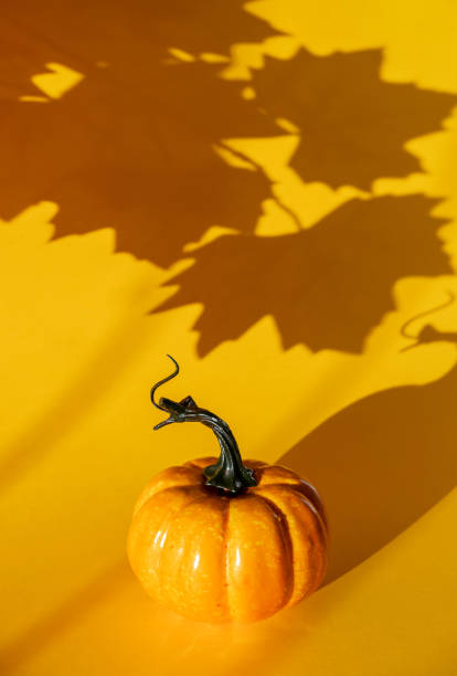 istock Pumpkin with a shadow from maple leaves on a yellow background. 1180710534