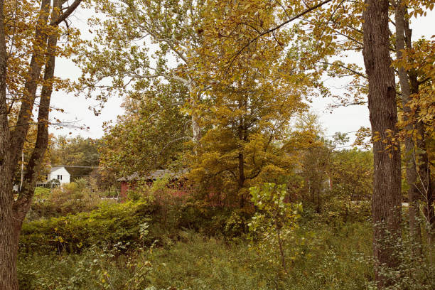 istock Burt Henry Covered Bridge in Bennington, Vermont 1180711354