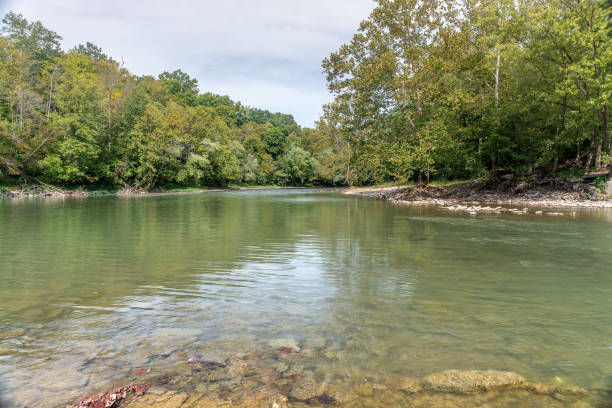 istock Landscape of an autumn brigth forest on the riverfront 1180712444