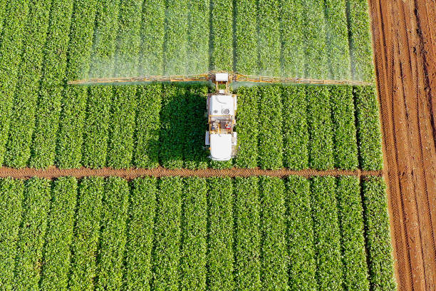 istock Pesticide Sprayer Tractor working on a Sugar Beet field. 1180716403