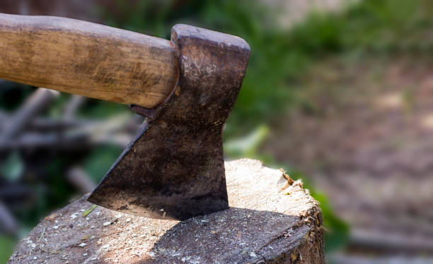 화창한 날에 그루터기에 갇힌 오래된 도끼, 클로즈업 - axe tree cutting deforestation 뉴스 사진 이미지