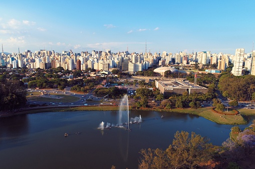 Aerial view of Ibirapuera's Park in the beautiful day, São Paulo Brazil. Great landscape.