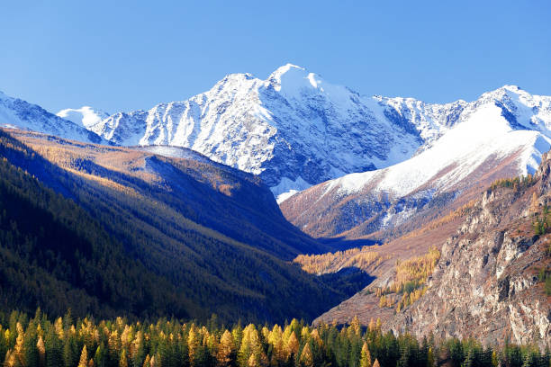 istock Beautiful Mountain Forest Landscape. 1180721081
