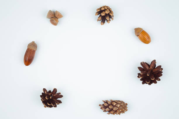 istock Autumn composition, frame made of pine cones, acorns and chestnuts. Flat lay, top view. 1180723092