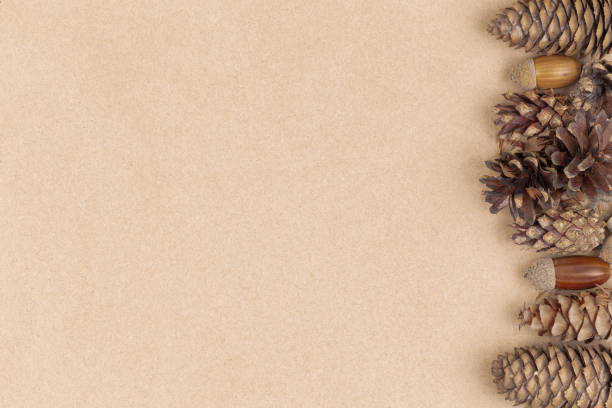 istock Autumn composition, frame made of pine cones, acorns and chestnuts. Flat lay, top view. 1180723112