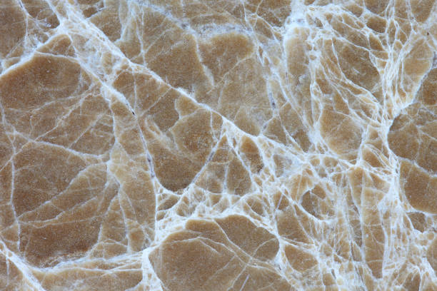 istock natural meat of brown marble texture or background (high resolution) 1180723164