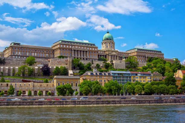 blick auf die donau und die budaer burg in budapest, ungarn - nobility royal palace of buda budapest palace stock-fotos und bilder