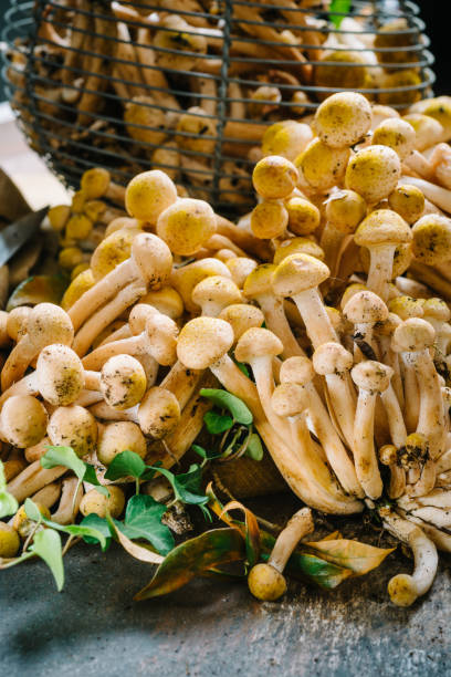 istock Basket of fresh mushrooms on the table 1180725502