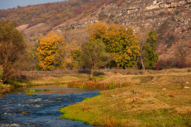 istock Autumn creek woods with yellow trees foliage 1180726474